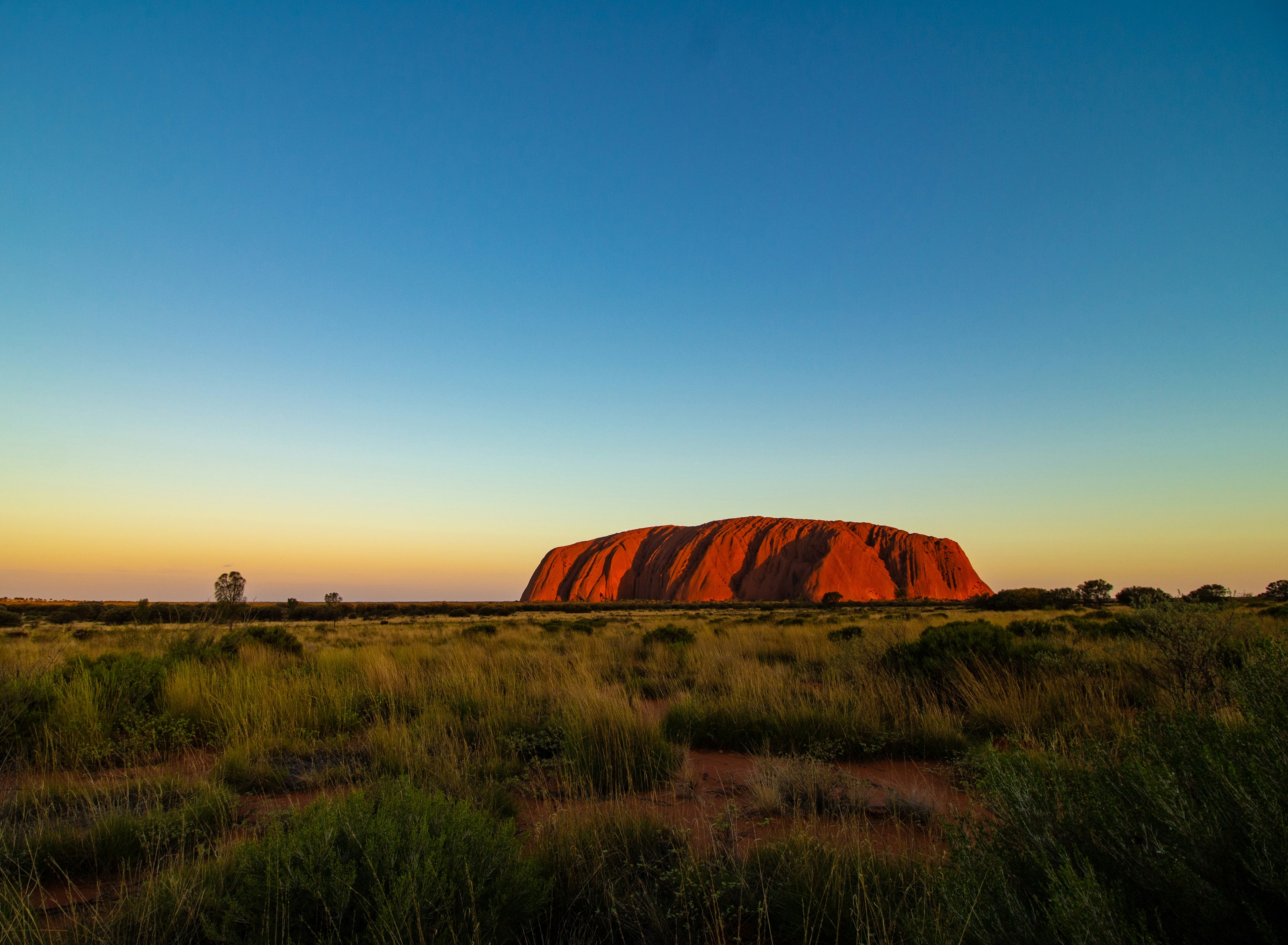 HeroSeraph scholarship and STEM support